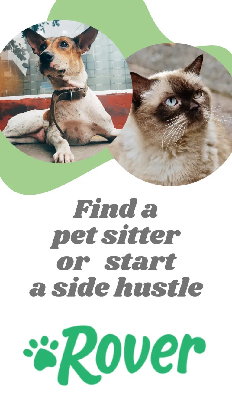 find a pet sitter or start a side hustle with rover