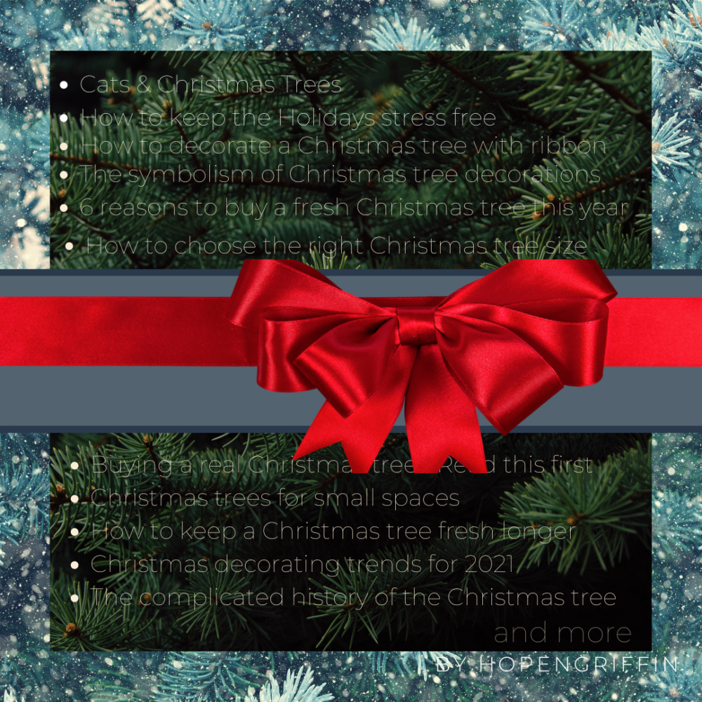 Hope Griffin Portfolio Christmas Trees Blog Articles
